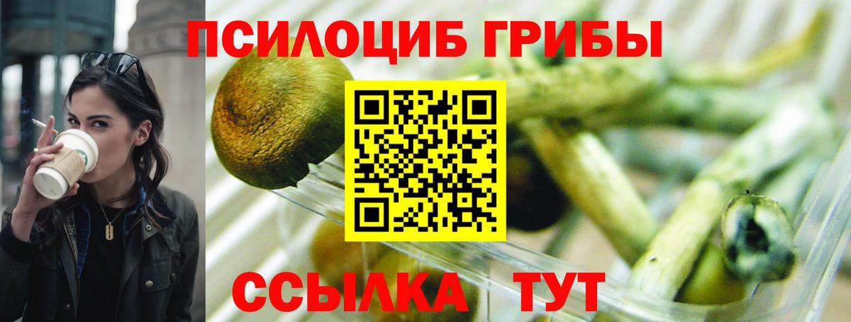 Магадан  Галлюциногенные грибы мицелий  Вход с VPN 